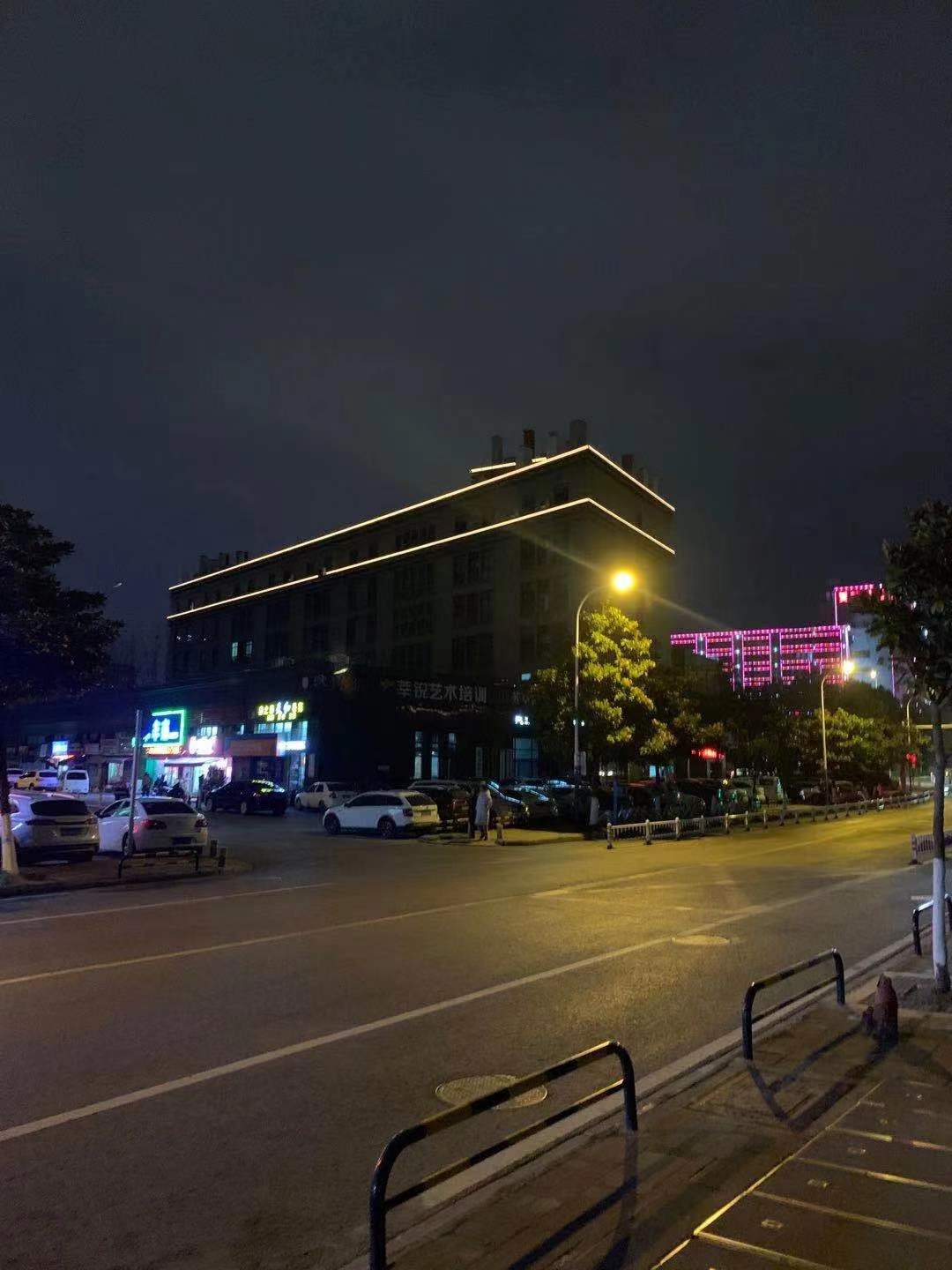 中央花園2.jpg