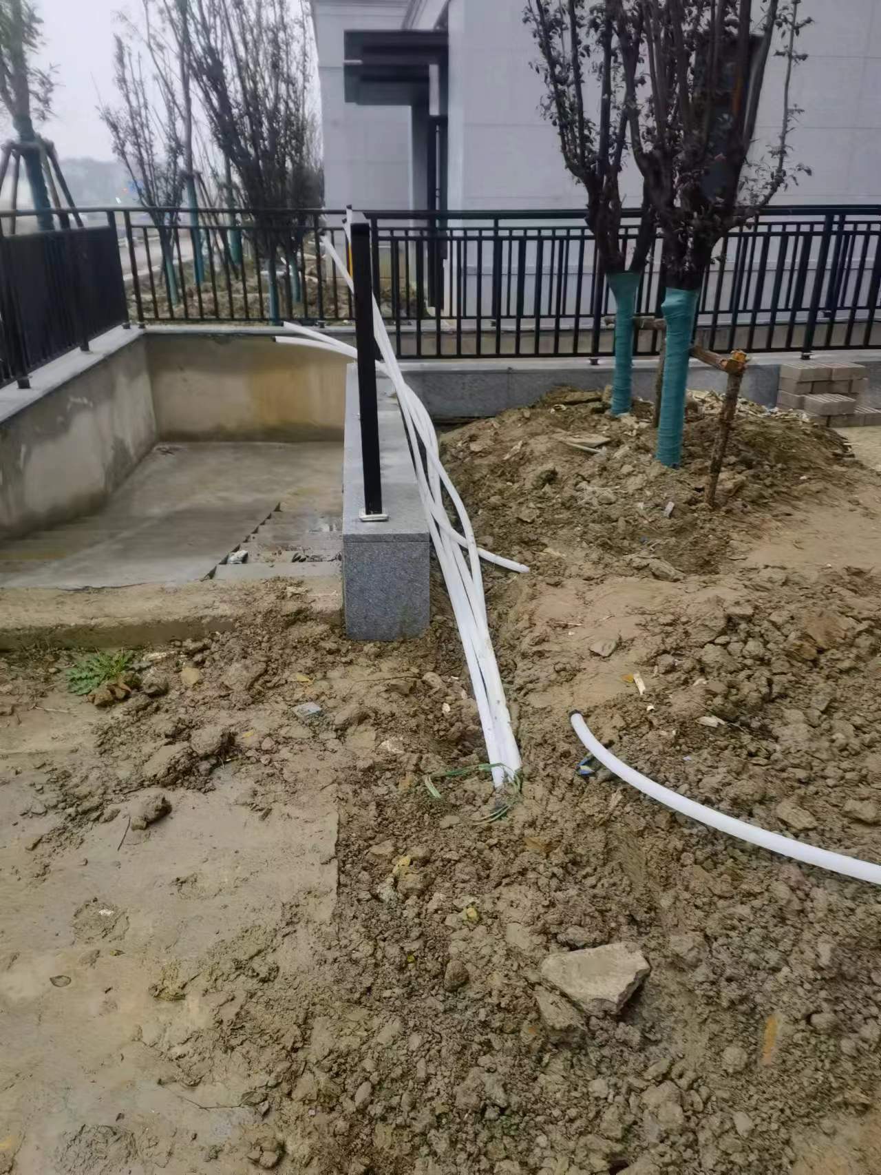 微信圖片_202212121021008.jpg